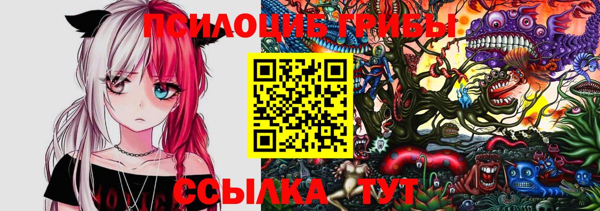 Псилоцибиновые грибы мицелий Дербент