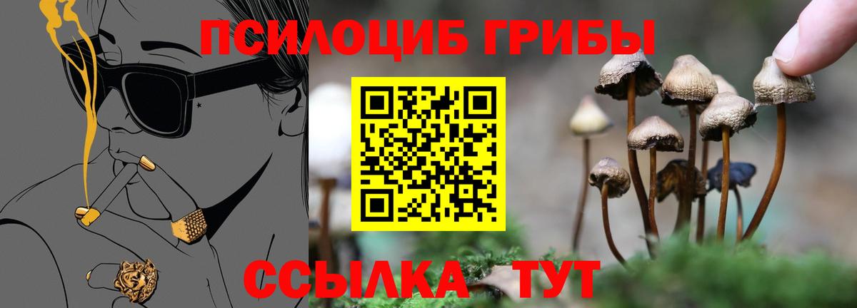 ЭКСТАЗИ  Мефедрон   А ПВП СК кристаллы  Дербент  NBOMe  Гашиш  Бошки Шишки  Наркошоп  Вход с VPN 